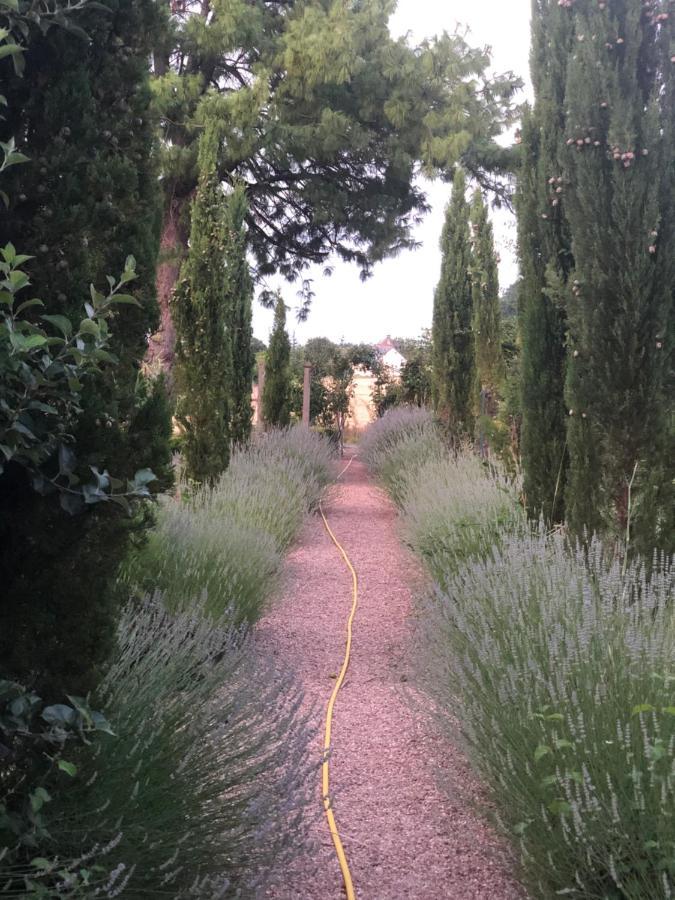 Les Jardins Haute Couture Huismes Exterior foto